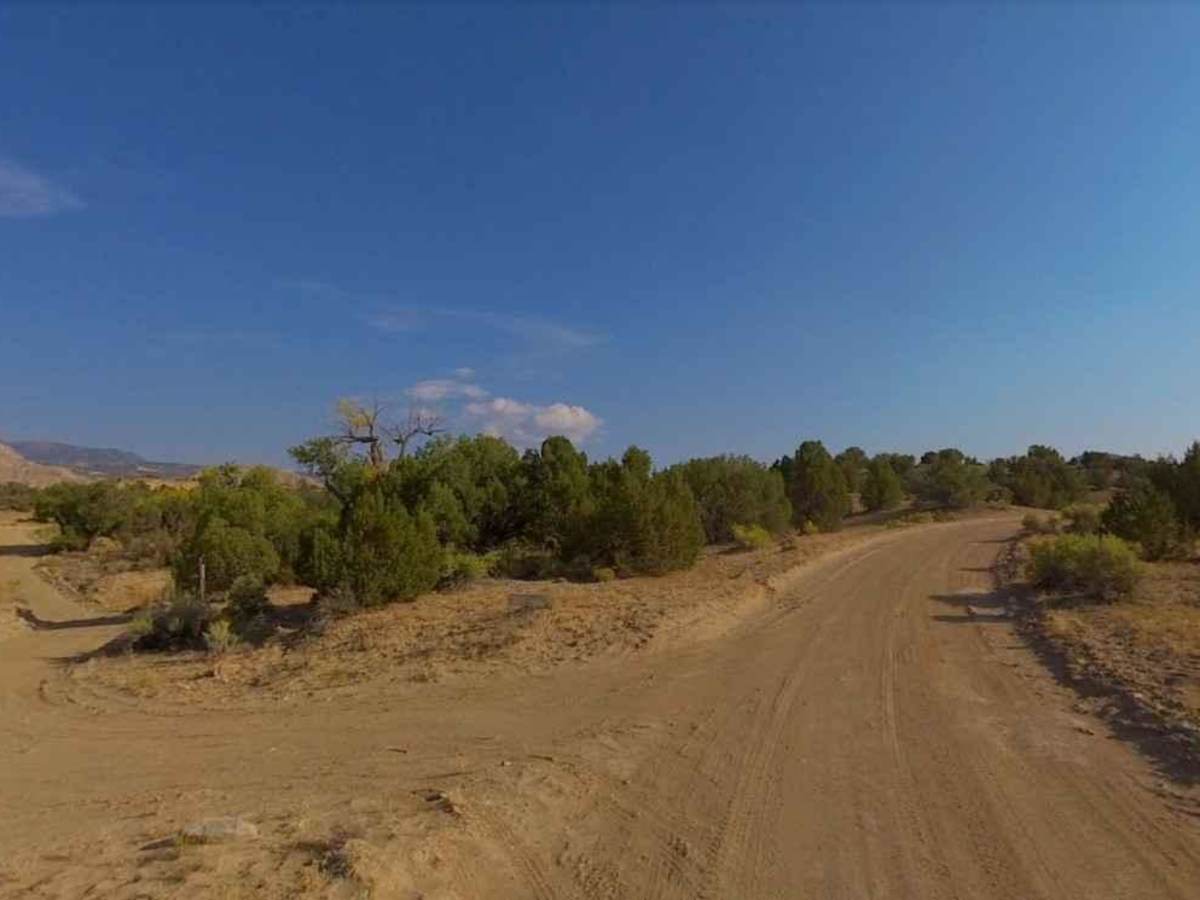 Sweetwater Creek - BLM14220 photo 2