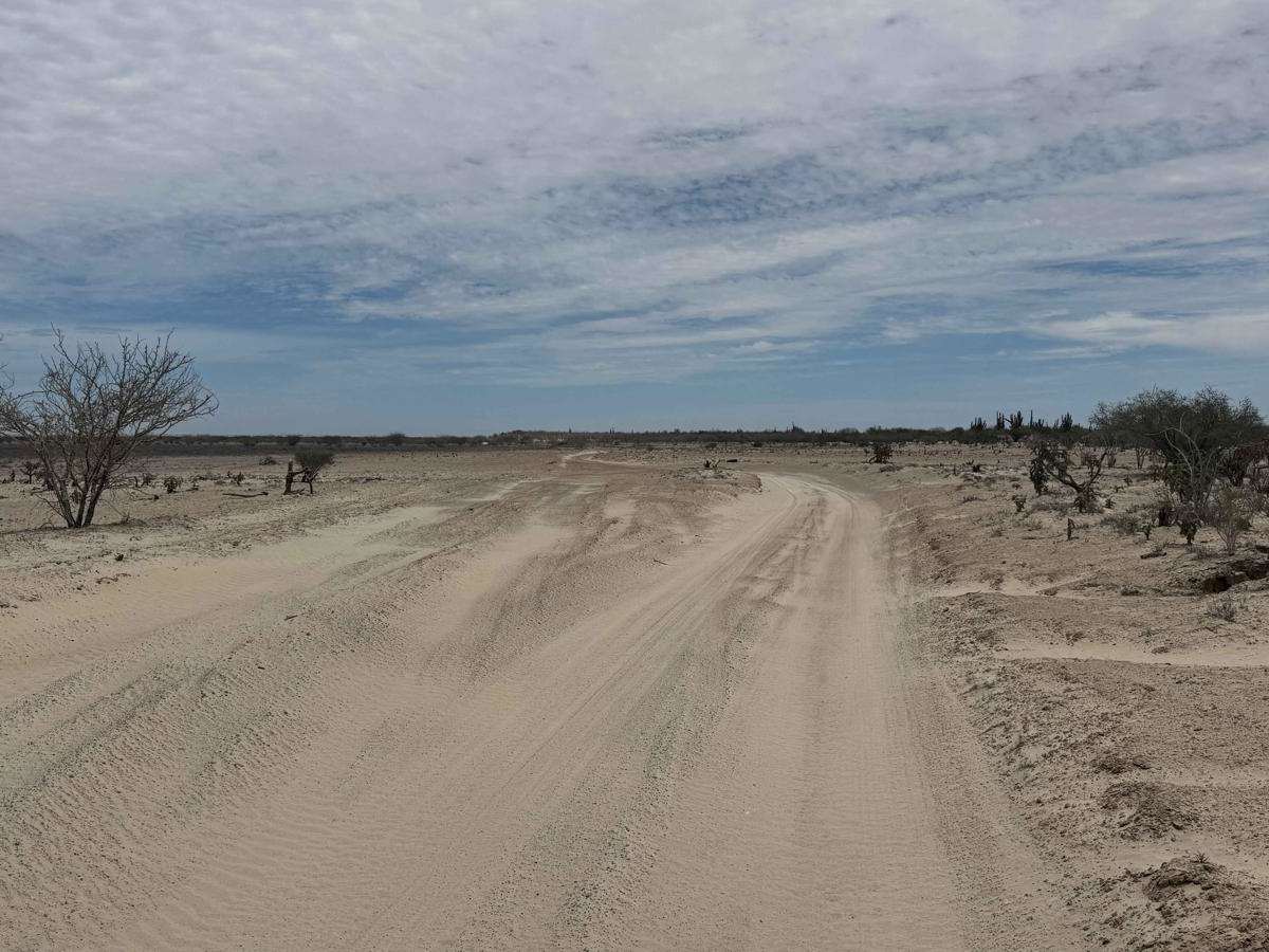 North-South Road trail photo