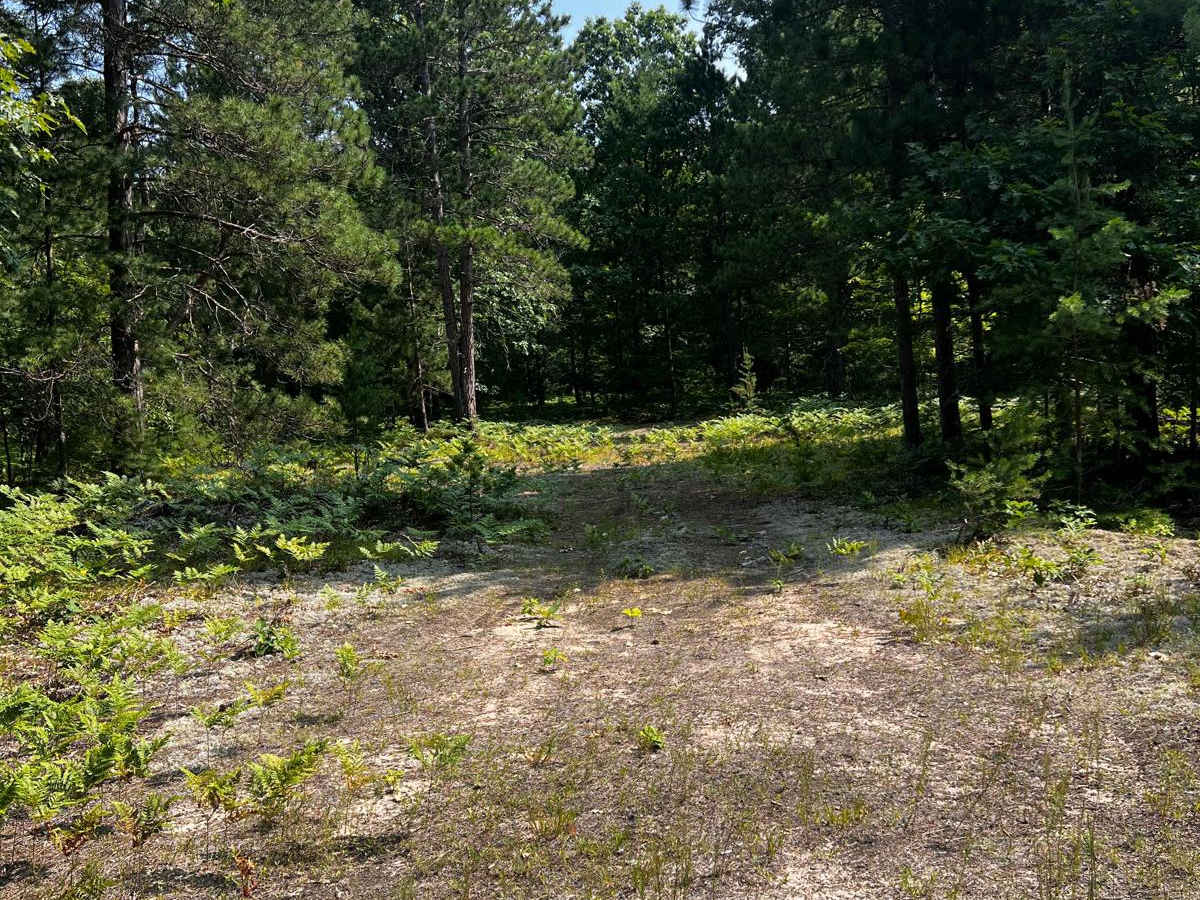 N 27 Trail photo 4