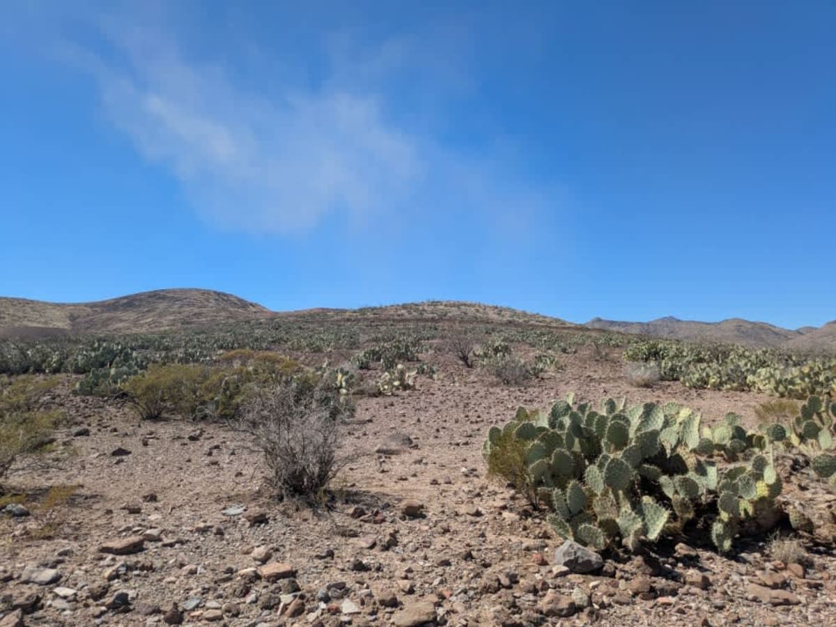 Trail 1007 photo 3