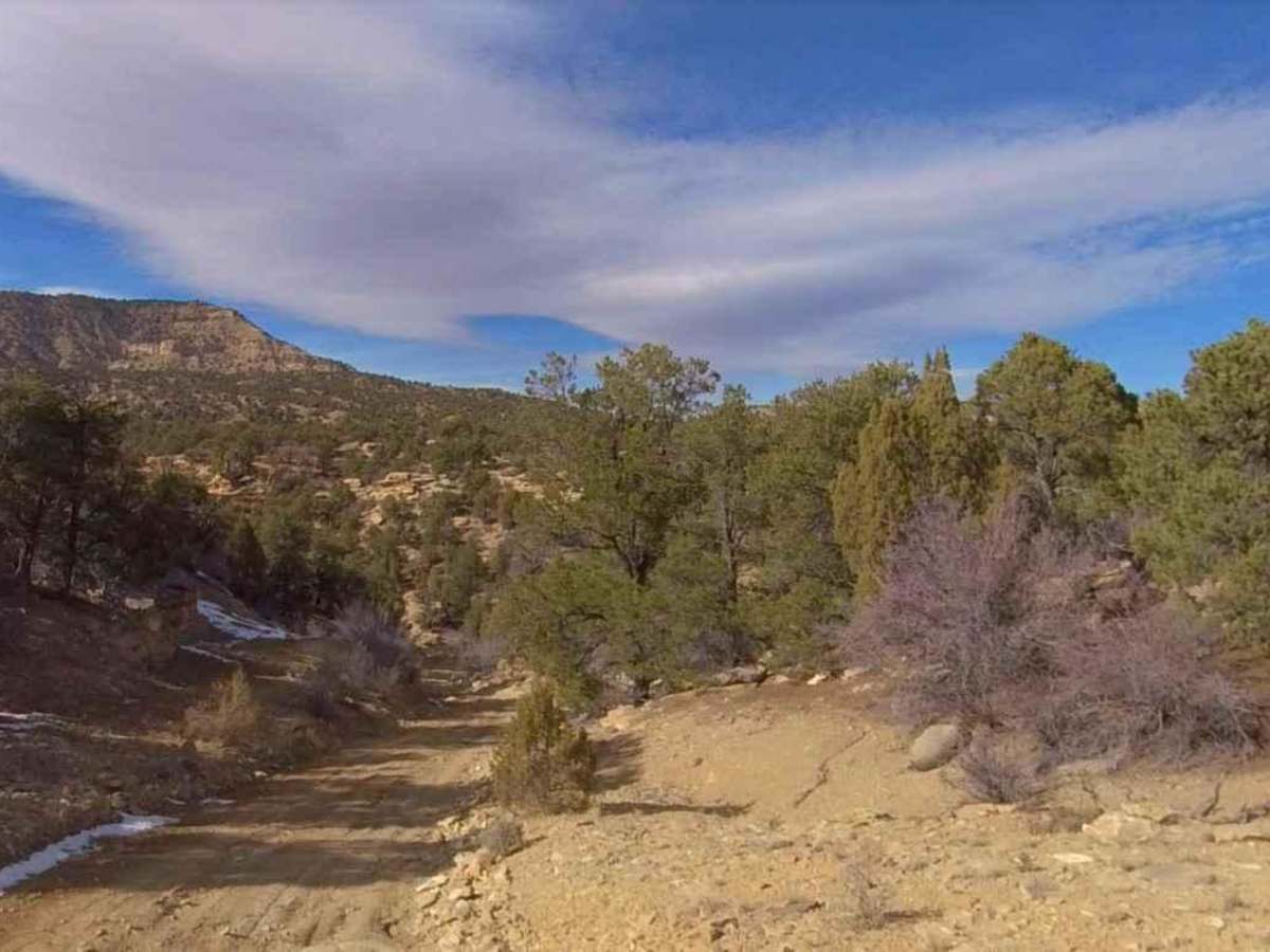 Smoky Mountain Road North BLM 300 photo 4