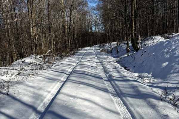McCarty Road