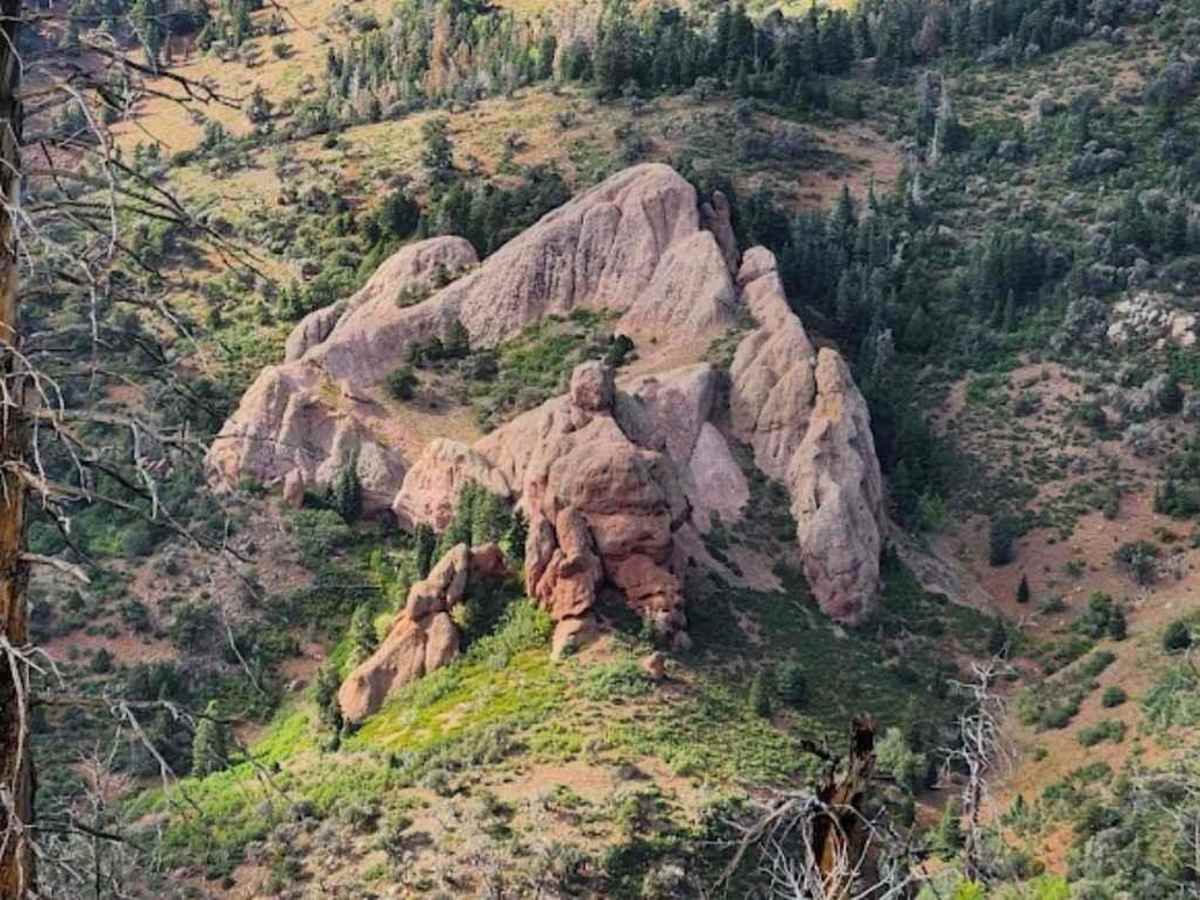Goat Springs-Devil's Arm Chair-FSR40500 trail photo