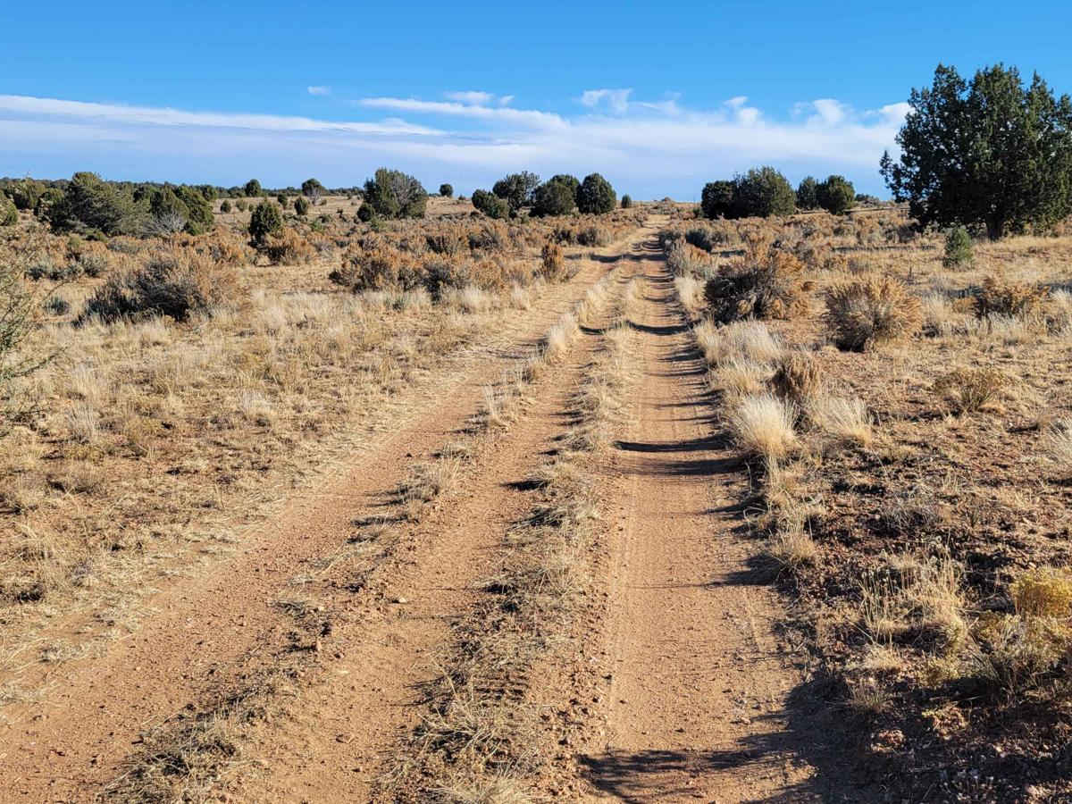 BLM 1647 photo 5
