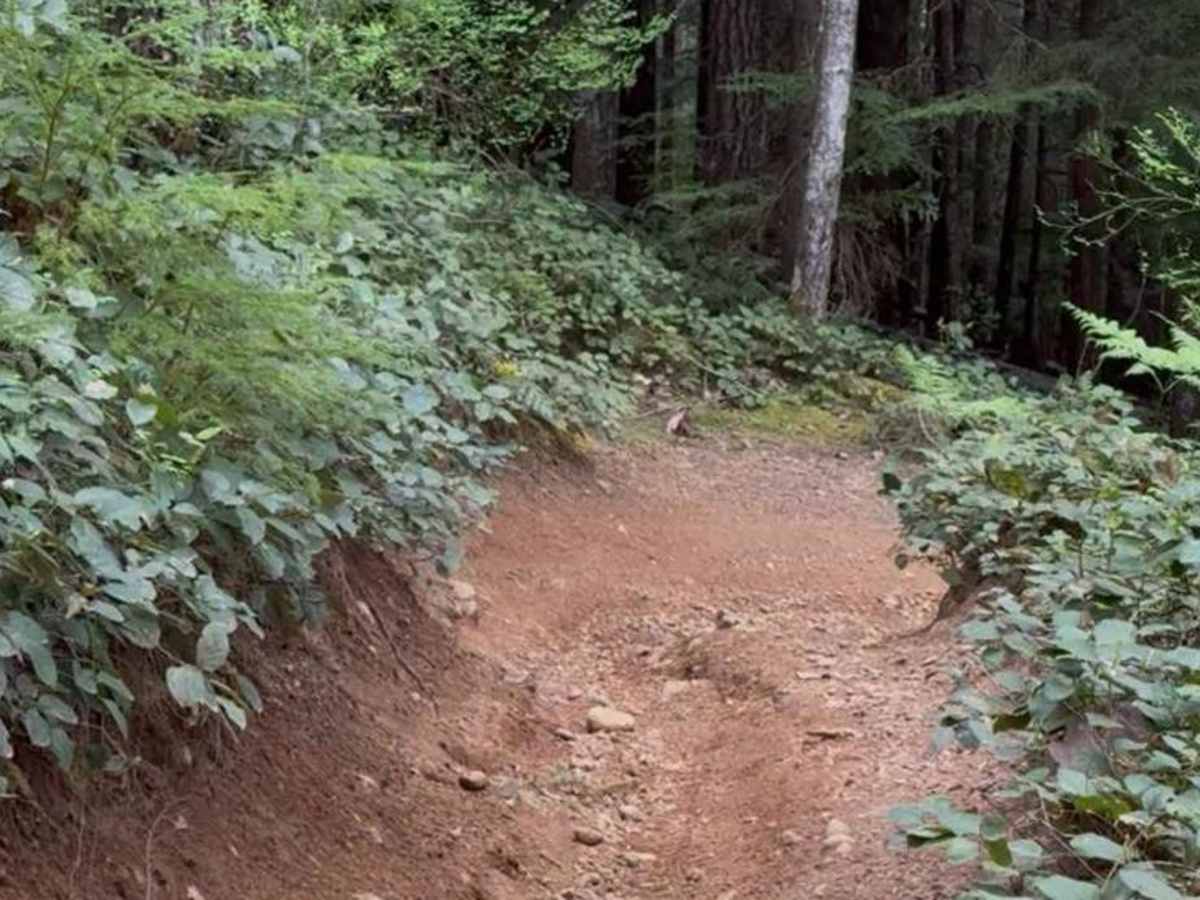 Rock Candy Trail photo 2