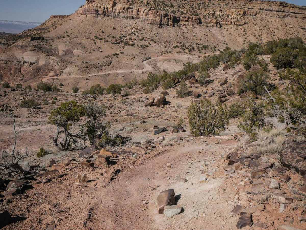 Coyote Ridge trail photo