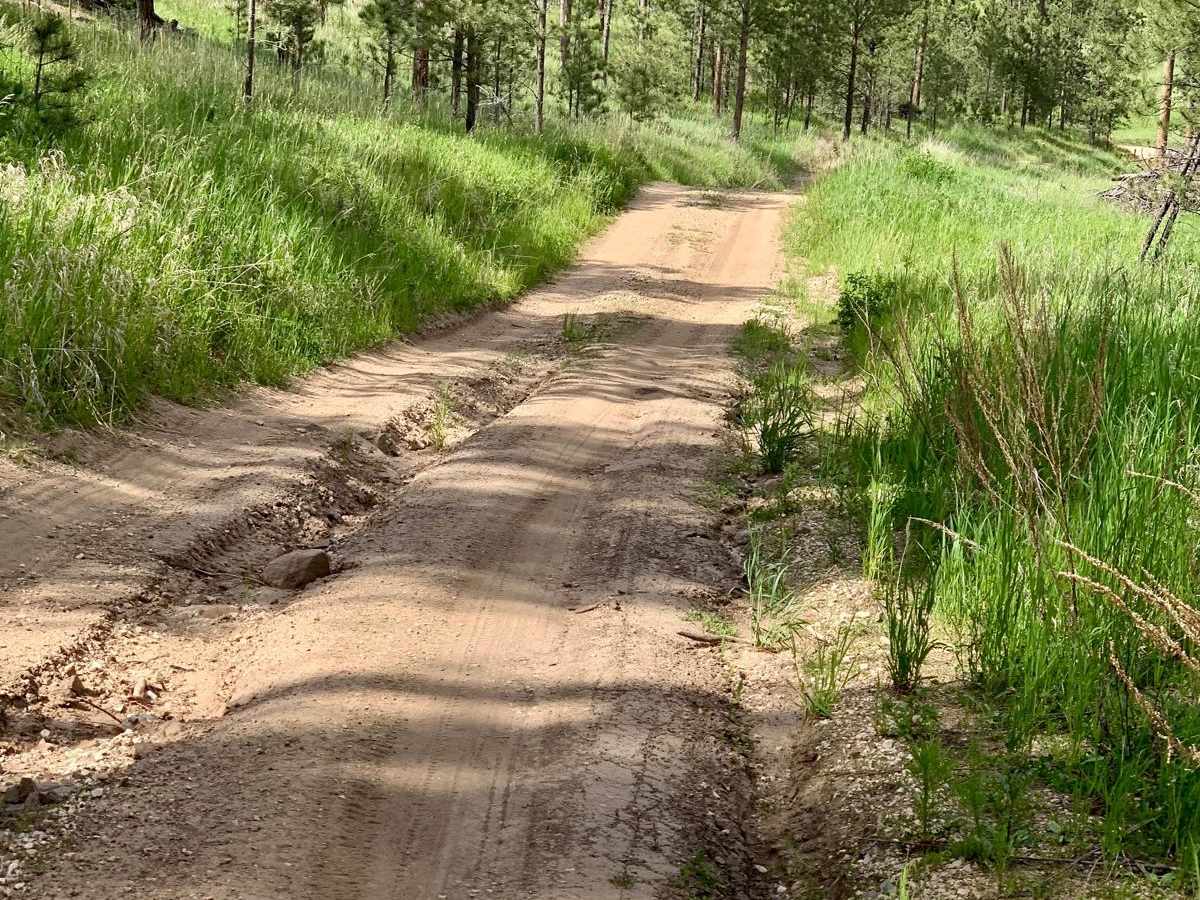 Bowman Road Loop photo 4