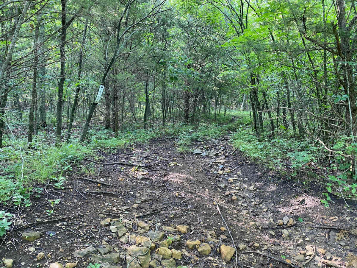 The Crunch trail photo