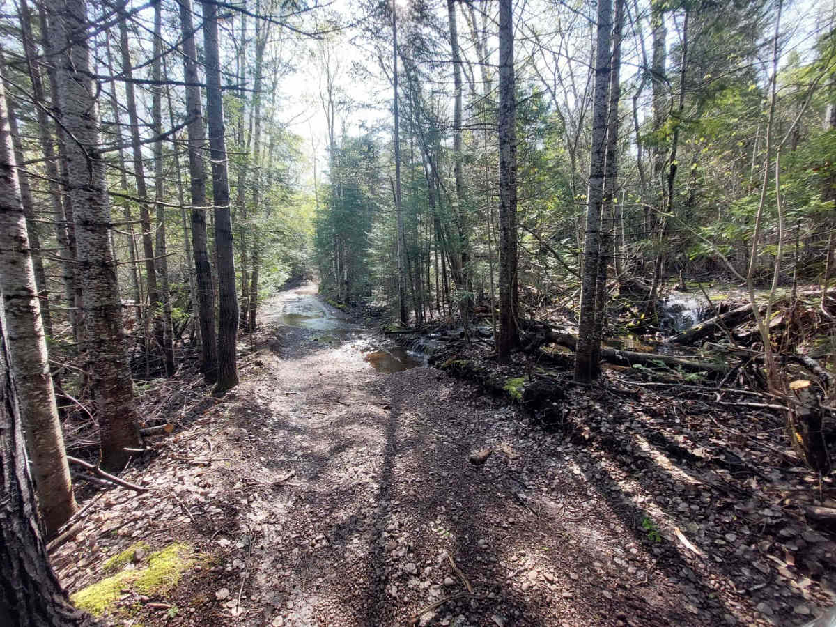 Horseshoe Harbor Road photo 3