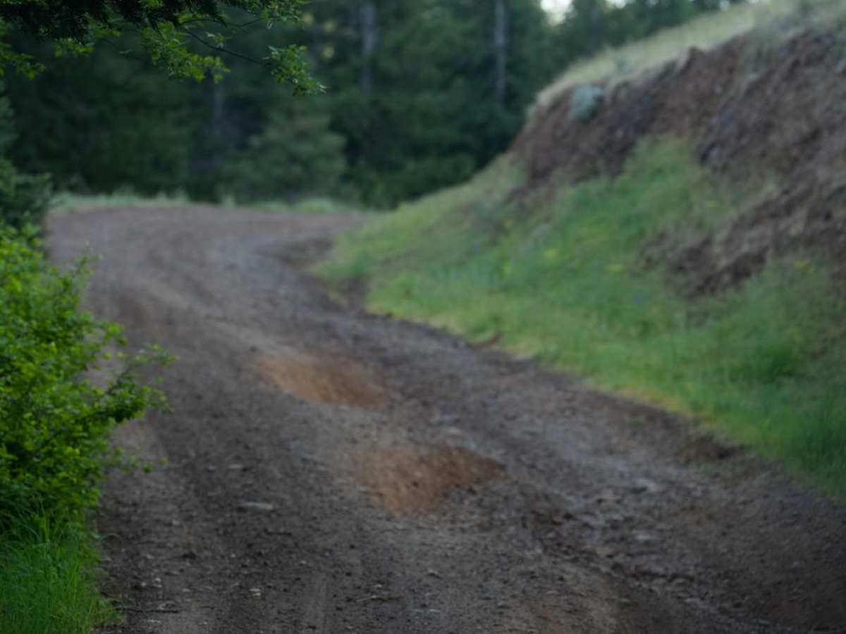 Craig's Cabin Road photo 2