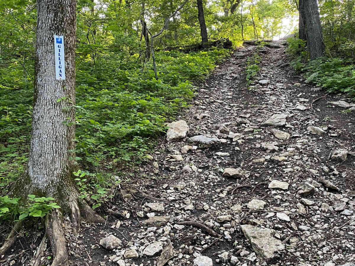 Gilligan trail photo