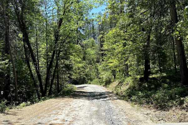 Candy Rock Road