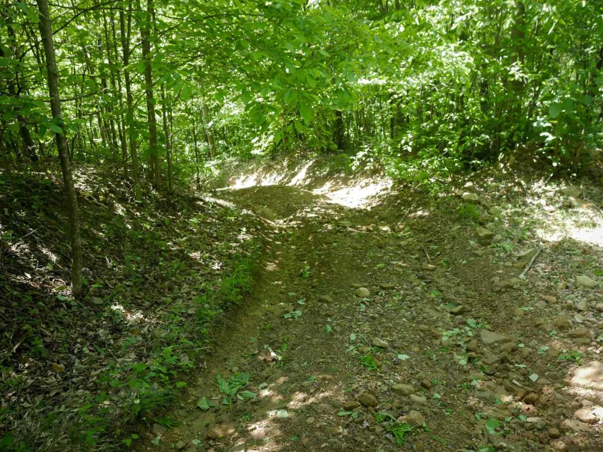 RV35 photo 5