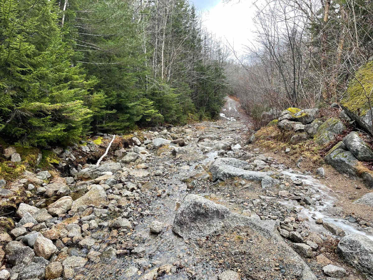 Pockwock Falls Trail photo 4