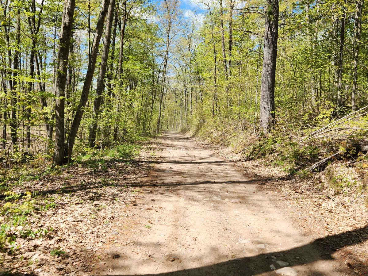 Bushafer 3876 trail photo