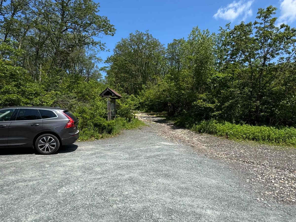 Fire Tower Road photo 4
