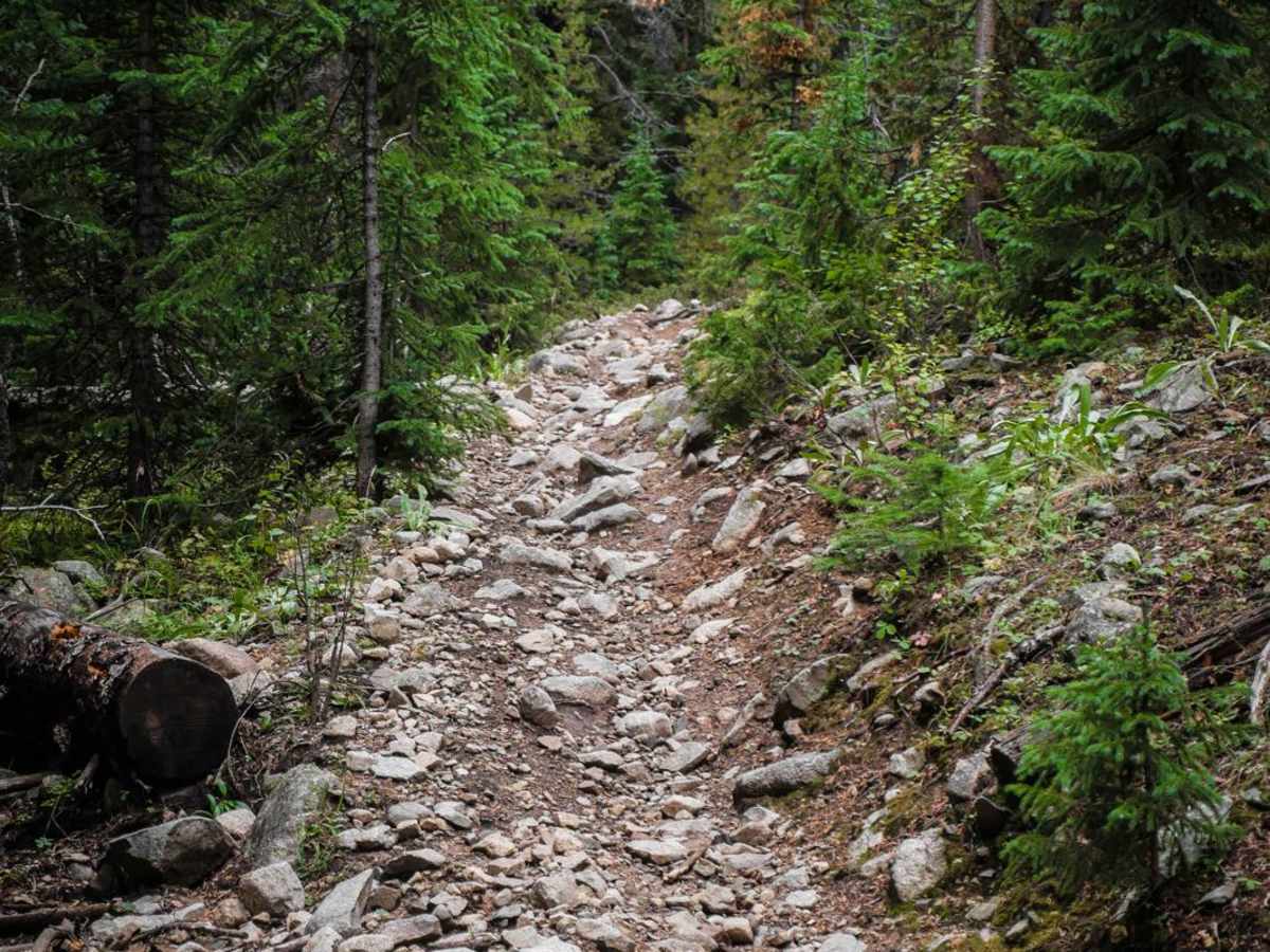 Gold Creek (North) photo 2
