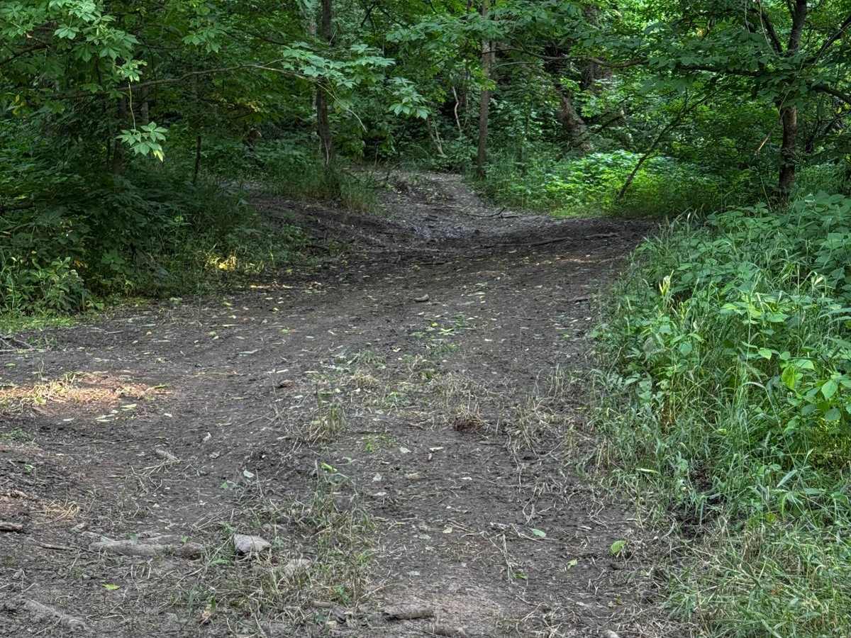 Jeep Trail 82 photo 2