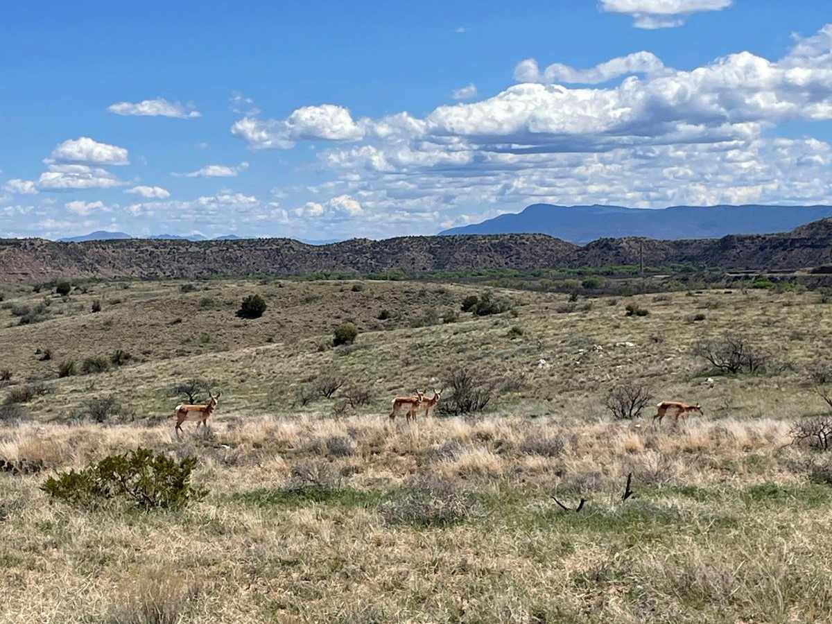 Upper Verde River Access/Overlook photo 5