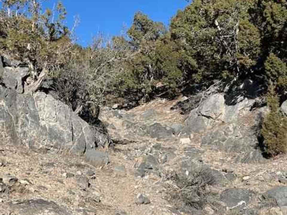 Rib Cage Canyon Go-Around trail photo