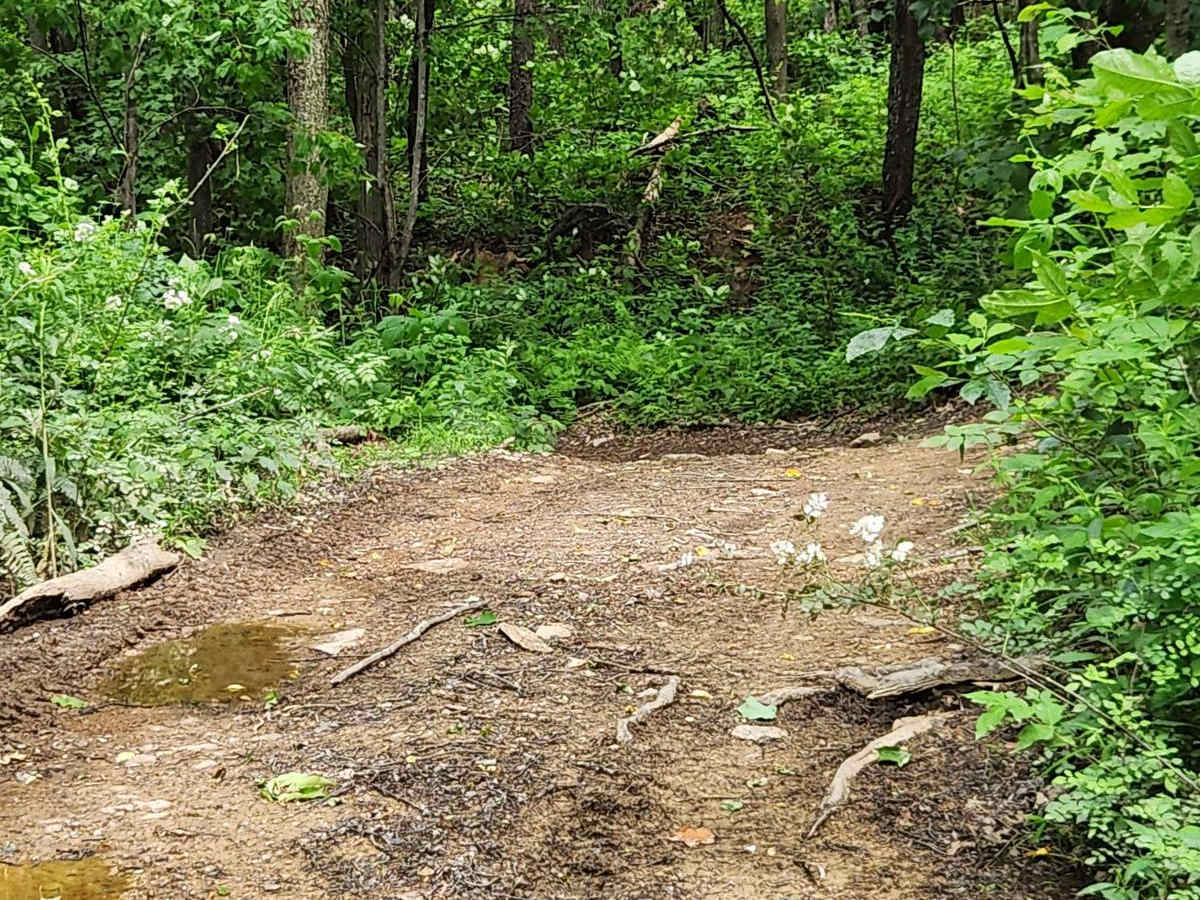 Trail 3 - Green - Rock Run Recreation Area photo 2