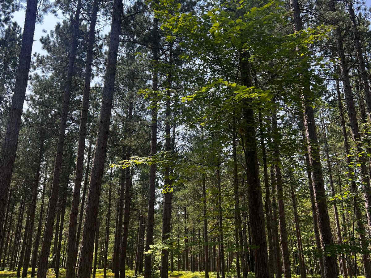 Filer Creek Trail trail photo