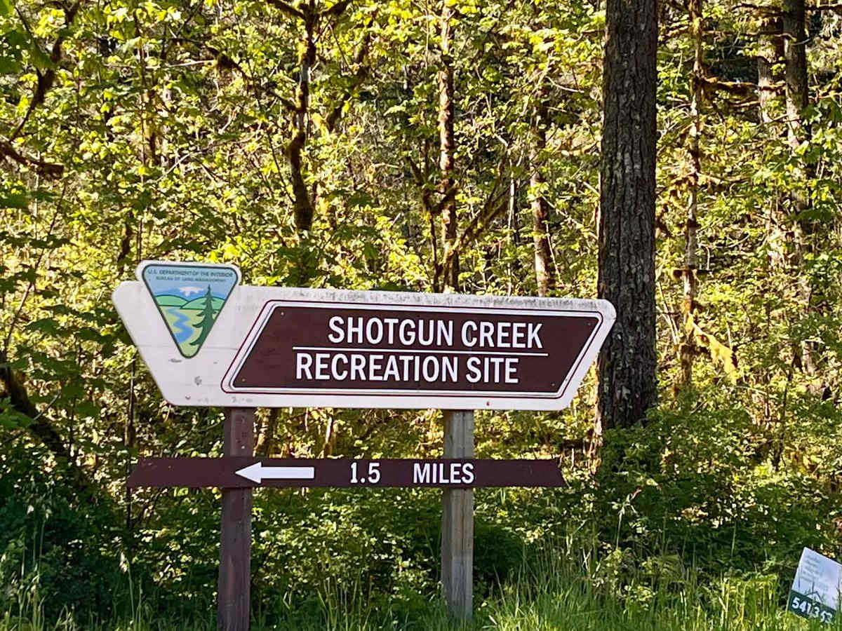 Shotgun to McGowan - Mainline trail photo