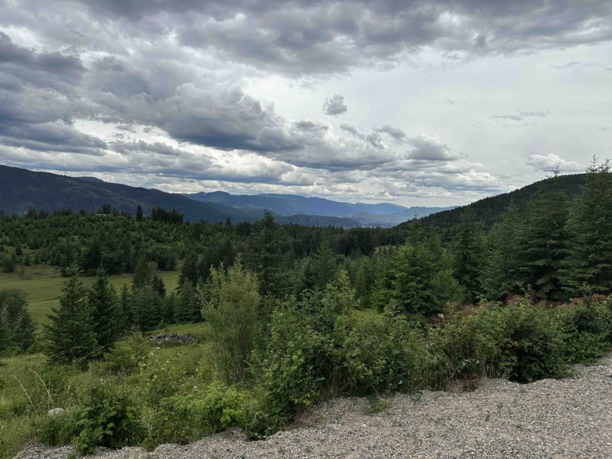 Boulder Mountain Access Road photo 3