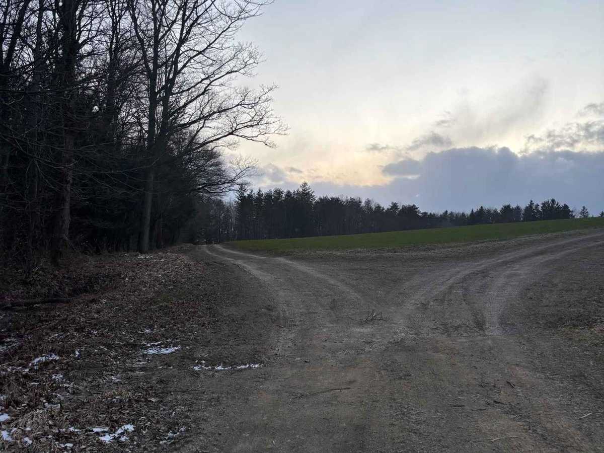 Everett Road photo 5