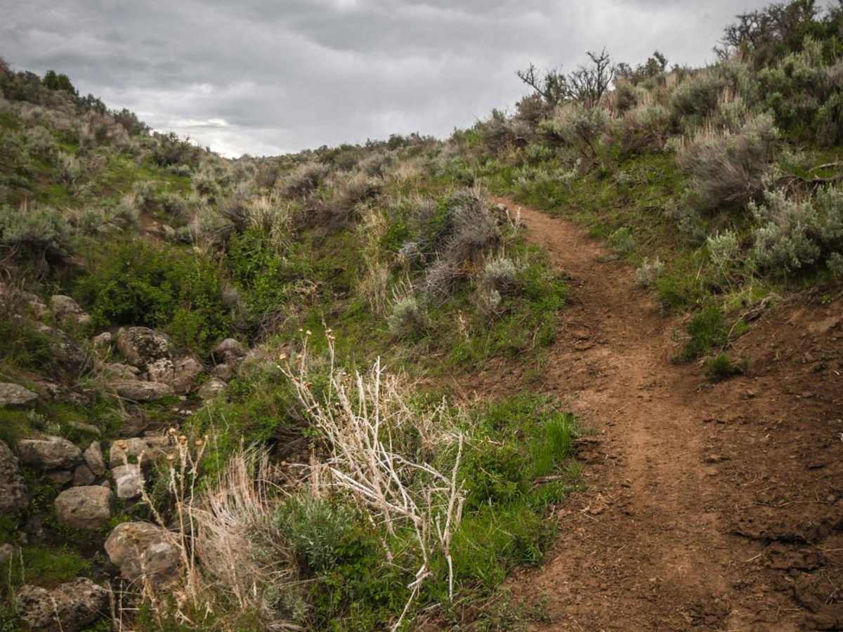 Upper Dry Gulch photo 3