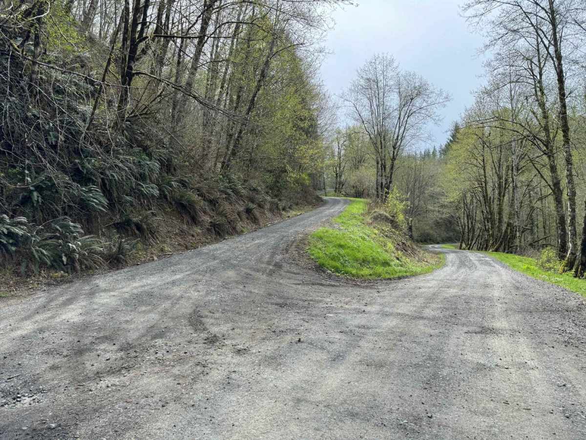North Fork Trask River Road photo 5