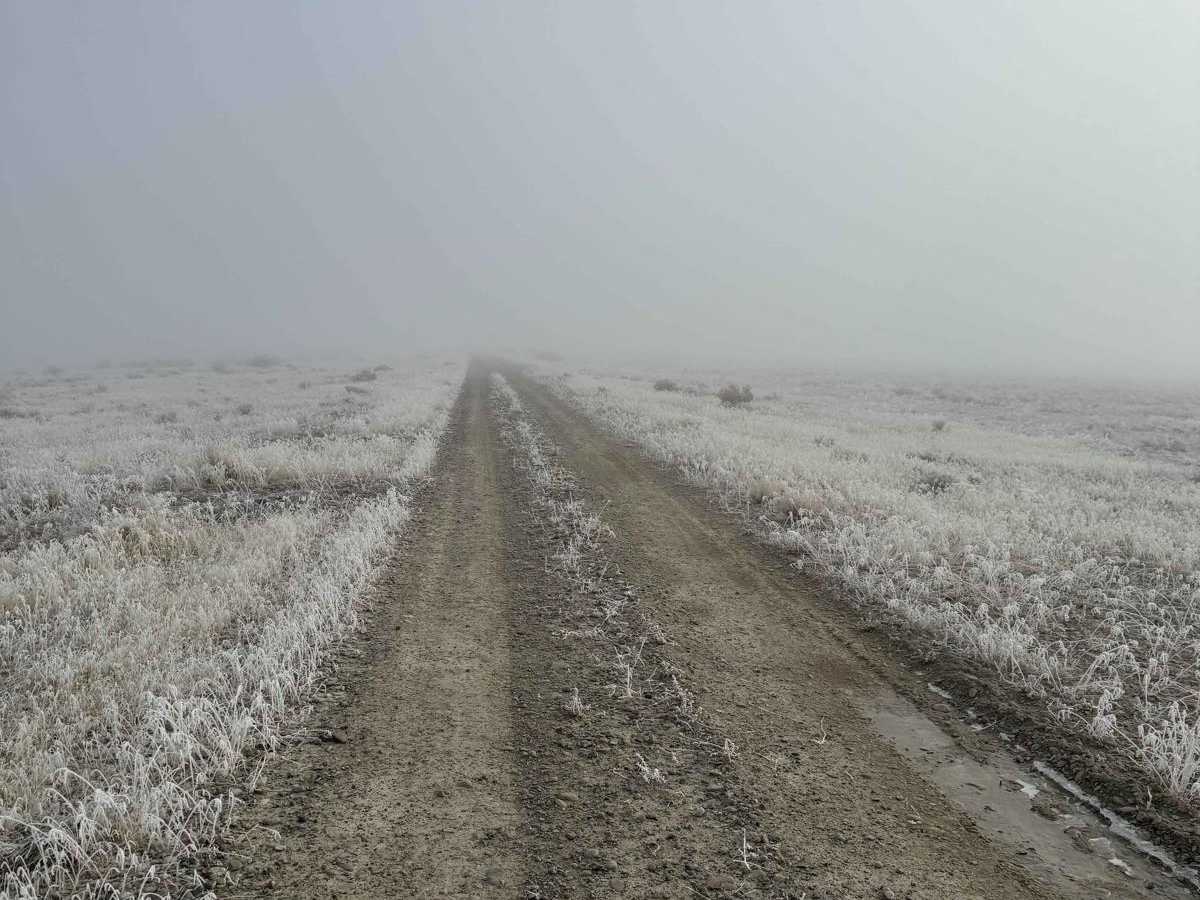 Puddle Valley Road trail photo