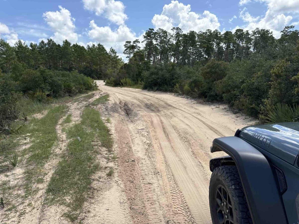 Lam Horse Trail - ONF 22-0.3A photo 6