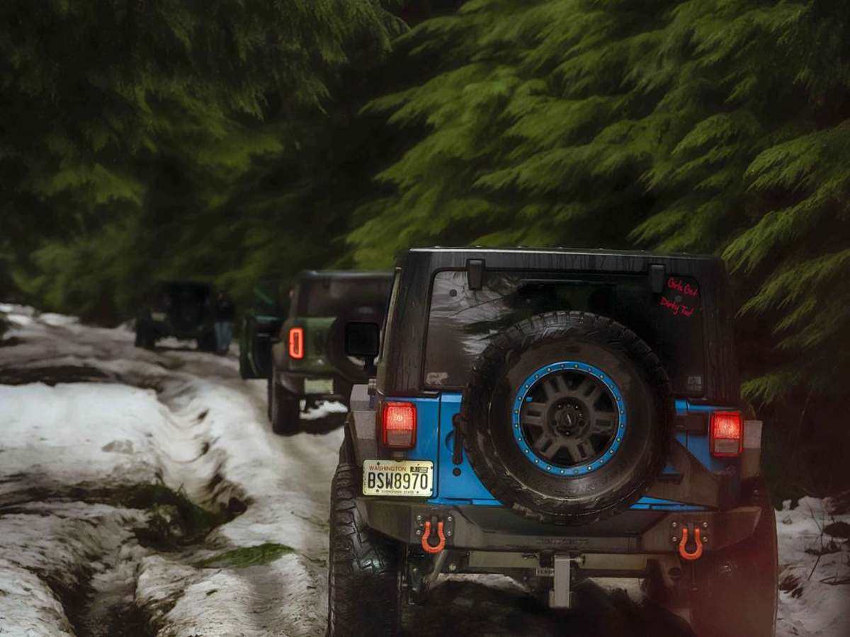 NF 7720000 trail photo