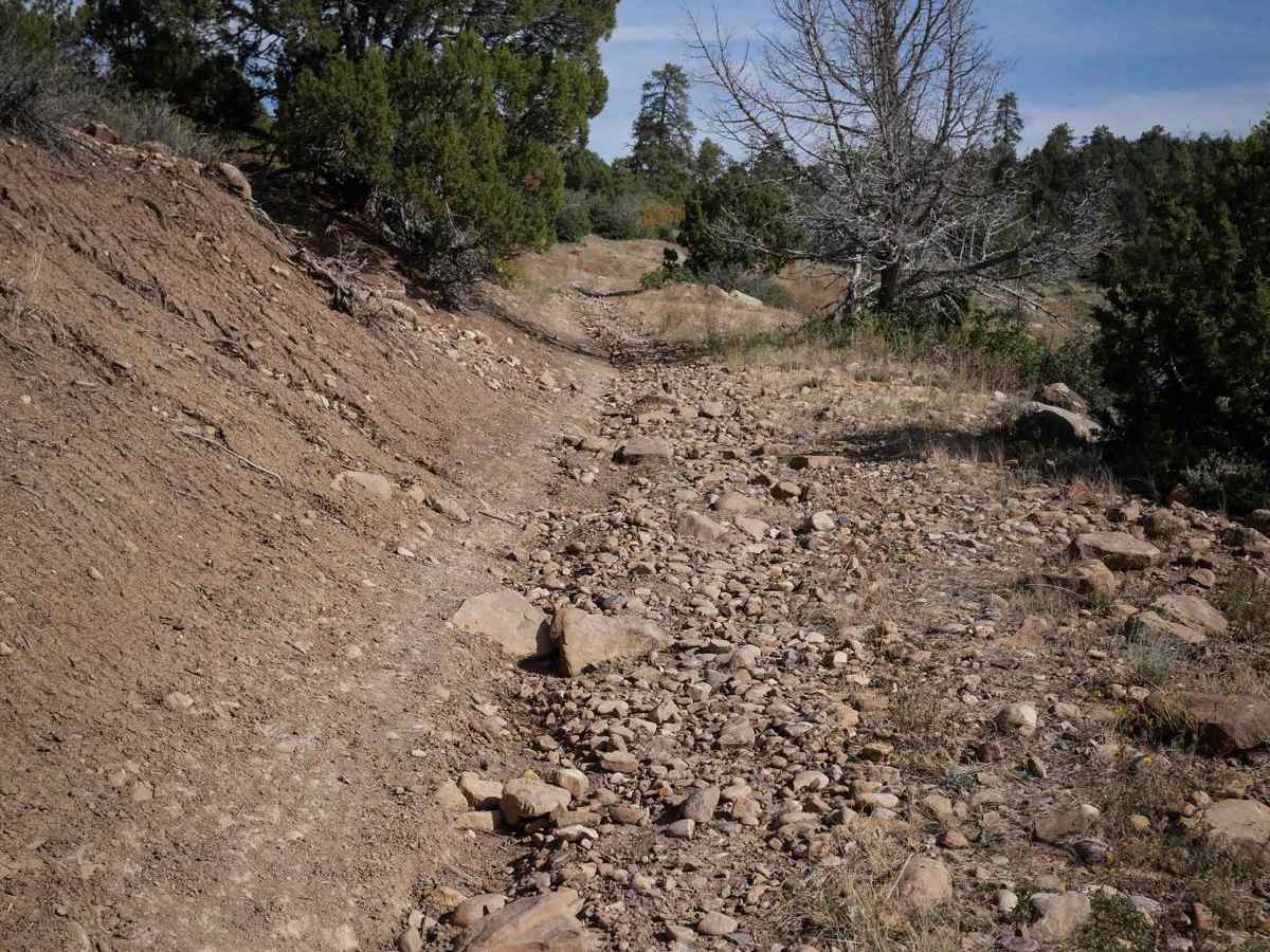 Lange Canyon trail photo
