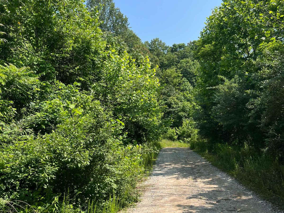 Trail 7 photo 6