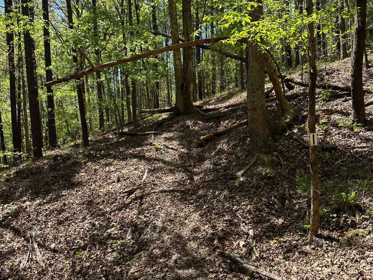 Trail 14 photo 3