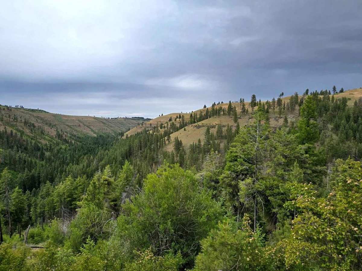 Brush Ridge photo 6
