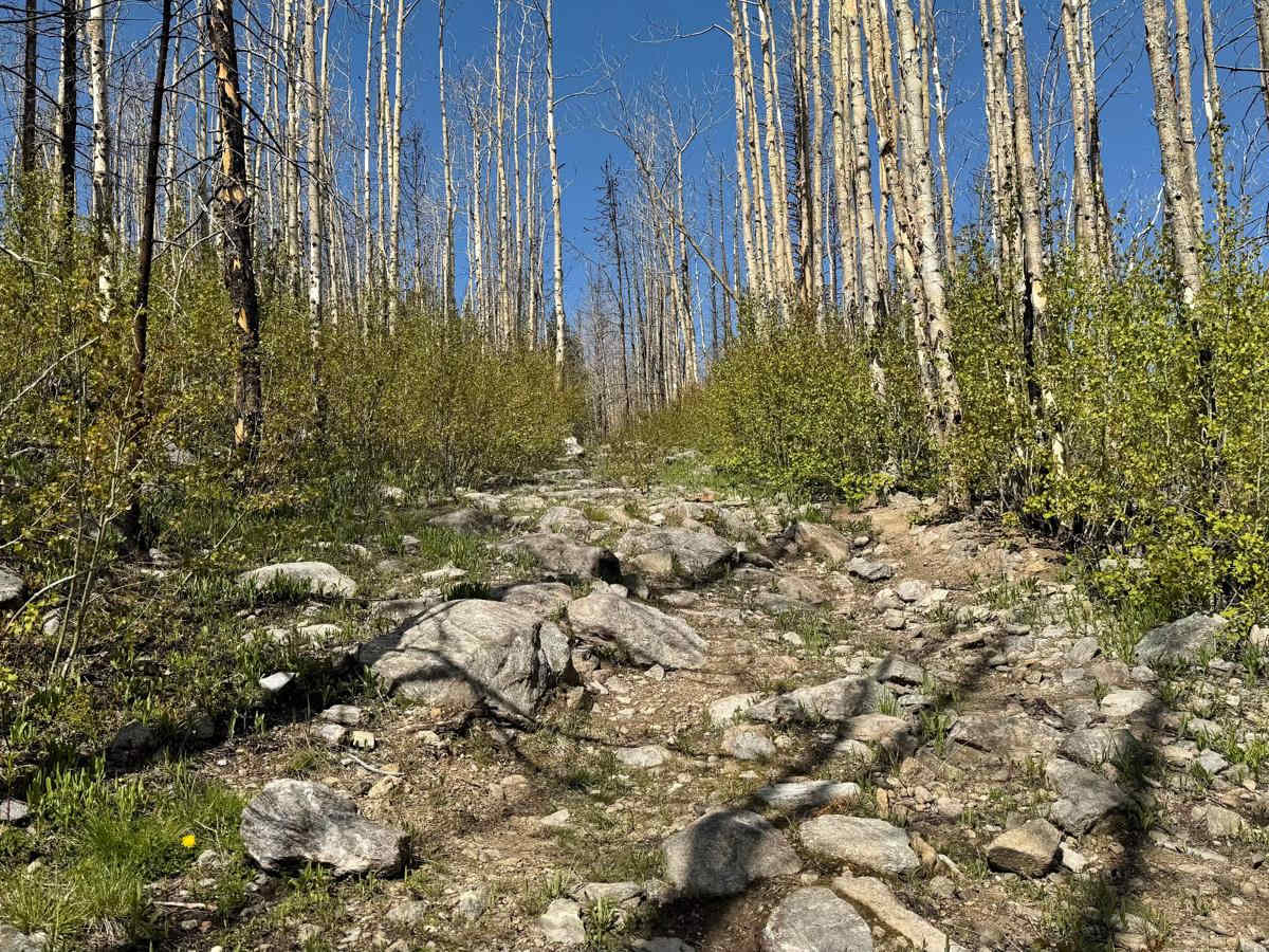 Hurley Road photo 4