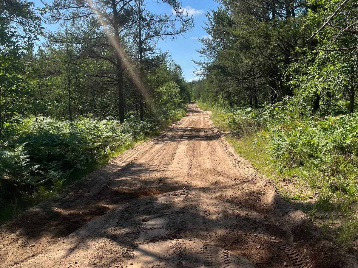 East Creek Connector trail photo