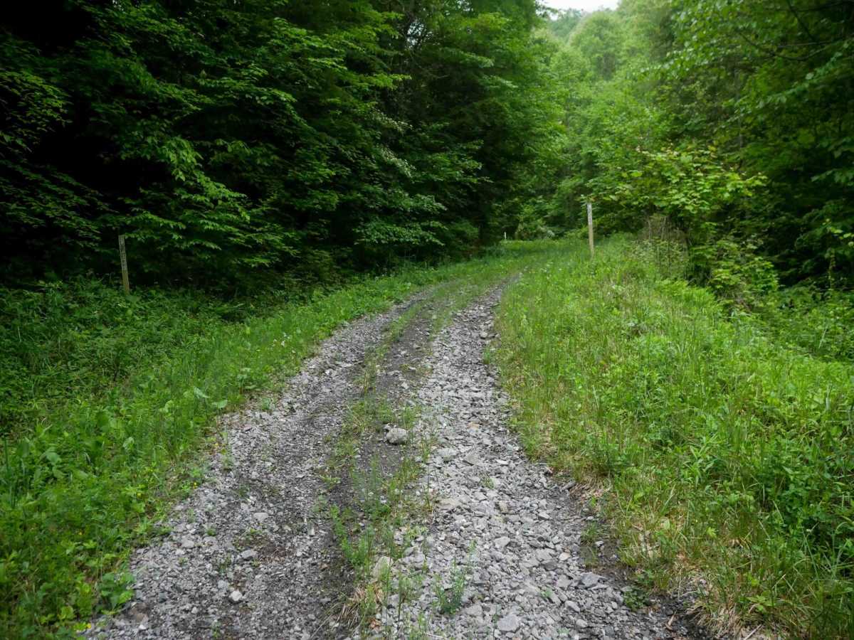 J37 trail photo