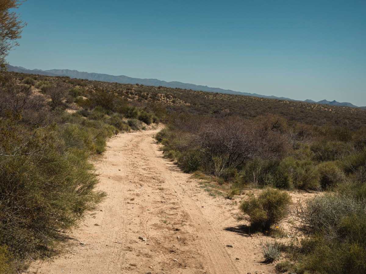 The Blocked Wash trail photo