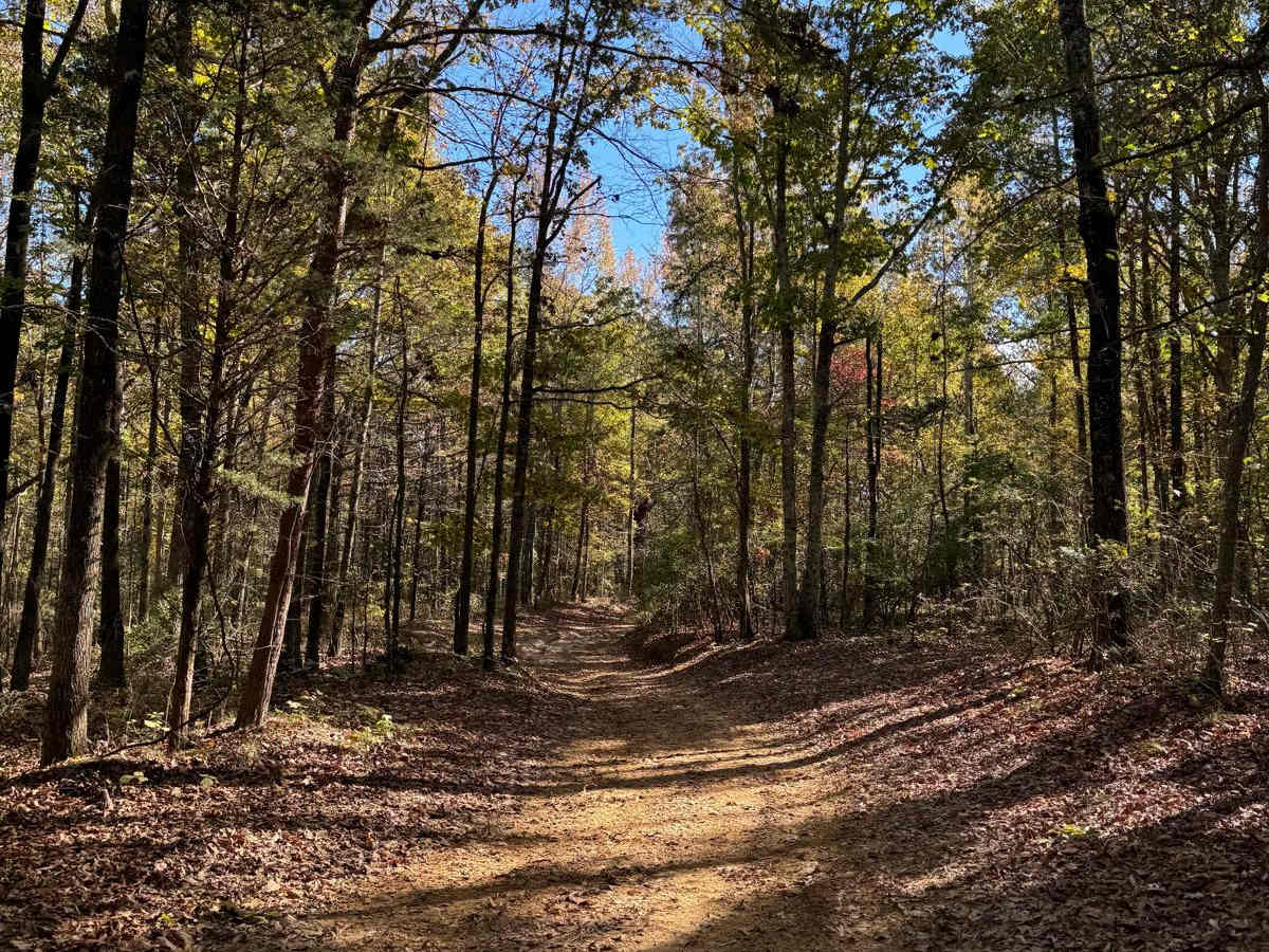#80 Road to Primitive Camping photo 4