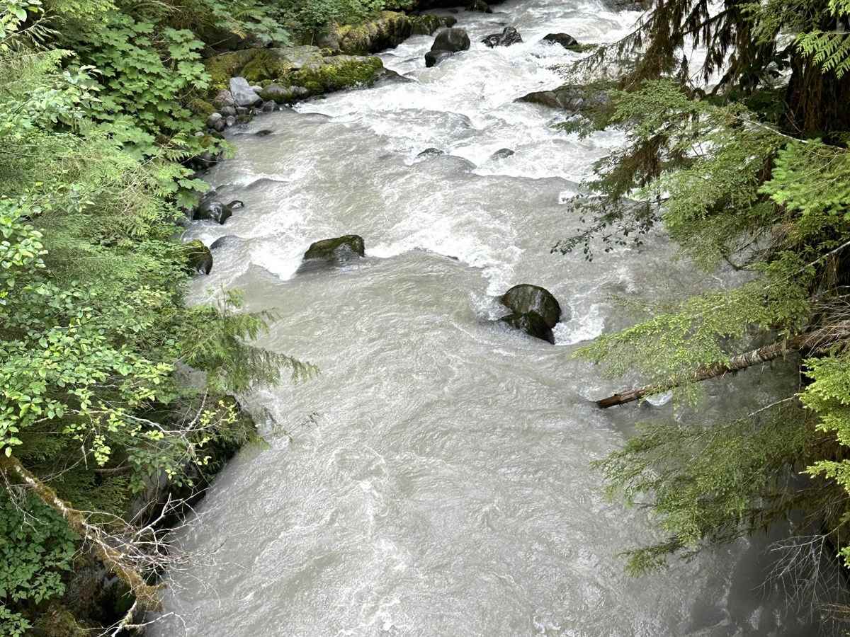 Glacier Creek Road photo 5