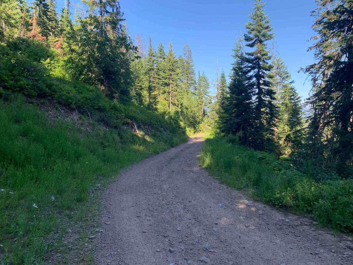 Miners Creek (804) photo 4