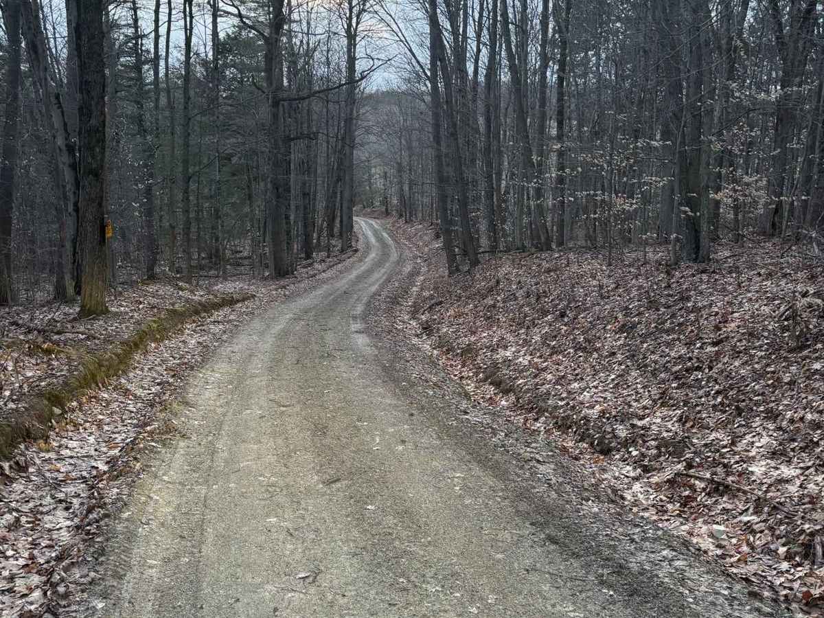 Everett Road photo 2