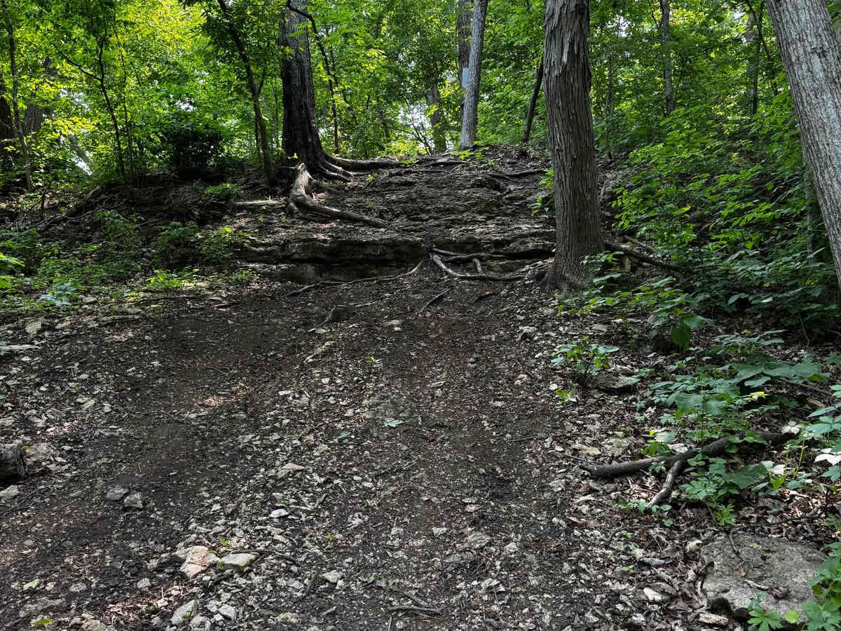 Hangover Hill 123 photo 4