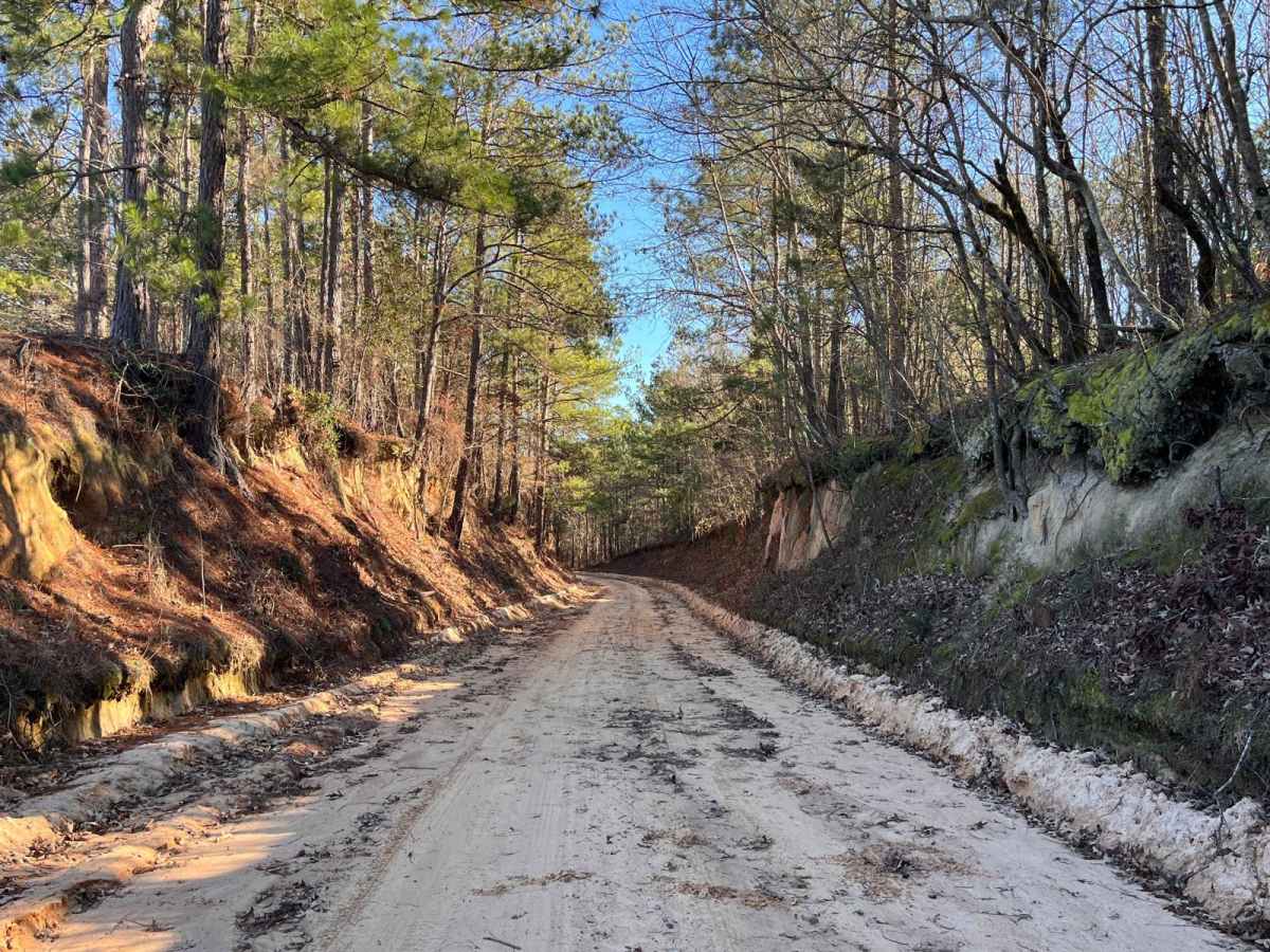 Gunter Pond Road trail photo