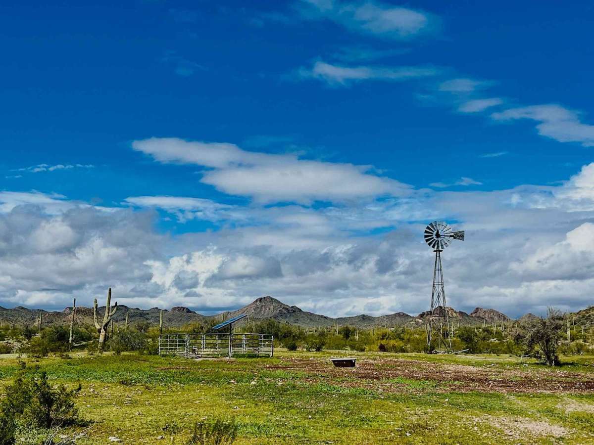 Saguaro Arm Valley photo 3
