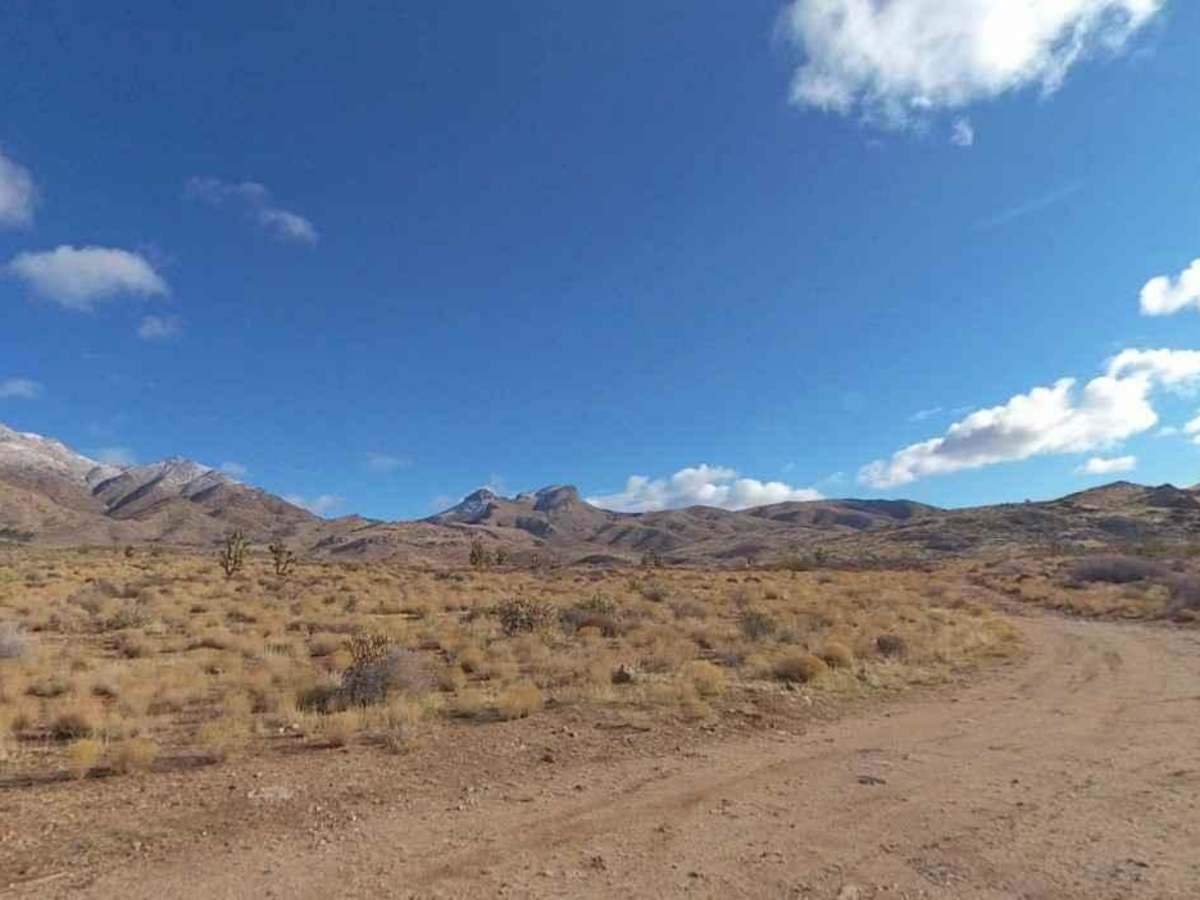 BLM30085 trail photo